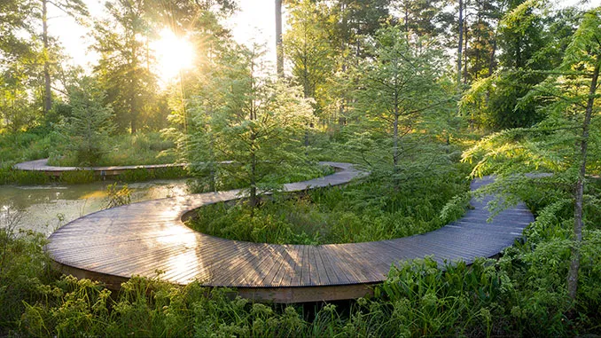 Hidden Gem Houston Arboretum & Nature Center