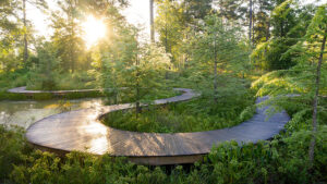 Hidden Gem Houston Arboretum & Nature Center