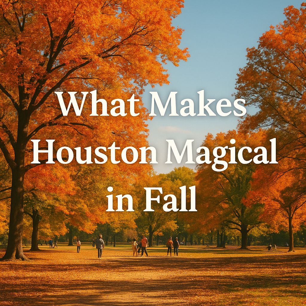 top things to do in houston this fall
